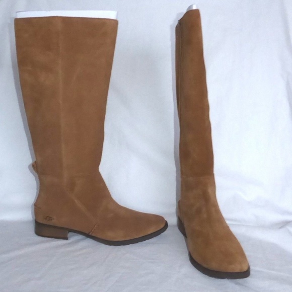 leigh knee high riding boot